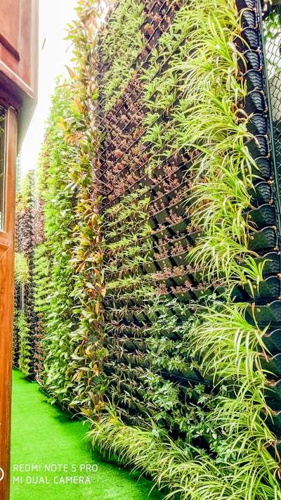 if someone need vertical garden services please contact us, we provide world class design's and service, please contact us, at 9873474044 feel free..