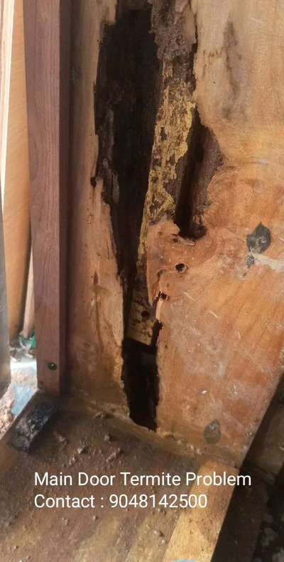 #pest control  #termite control  #Anti Termite Treatment