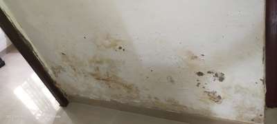 # എൻ്റെ വീടിൻ്റെ ബിത്തി (ബാത്ത്റൂം, toilet) പുറം വശം എല്ലാം ഇതു പോലെ ഇരിക്കുന്നു.എന്ത് കൊണ്ട് ആണ് ഇങ്ങനെ ഉണ്ടാകുന്നത്? നനവു ആണോ,? പരിഹാരം എന്ത് ആണ് എന്ന് പറയാമോ.. Allappuzha #mukesh