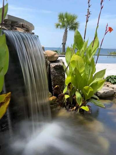 #water #positivevibes #waterfeature #cascade #fountain #plants #fish