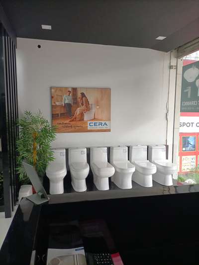 single piece wc