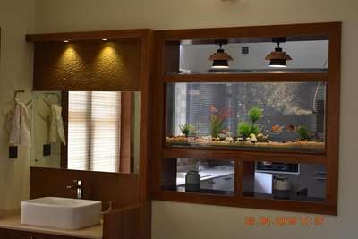 #fishtank  #partitiondesign