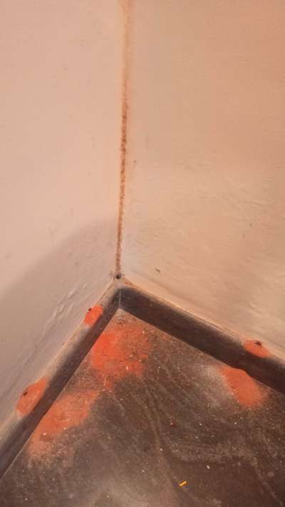 #pest control  #Home decor  #termite treatment  #House construction #construction site