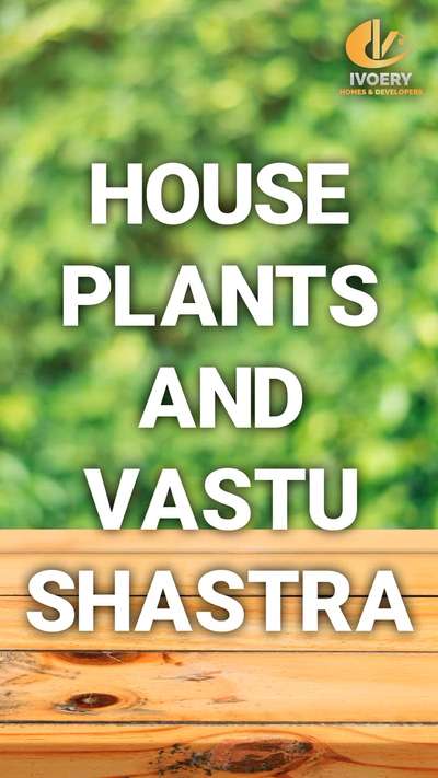 Plants for houses based on vasthu #vasthu_consultancy  #Architectural&Interior  #ContemporaryDesigns  #HomeAutomation  #ivoeryhomes and developers #trivandram  #kerala_home_design