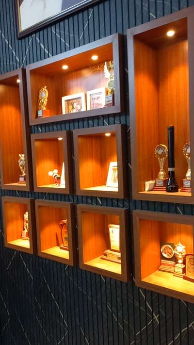 wall showcase and partition #showcasedesign  #partitiondesign  #LivingroomDesigns  #wallpanaling