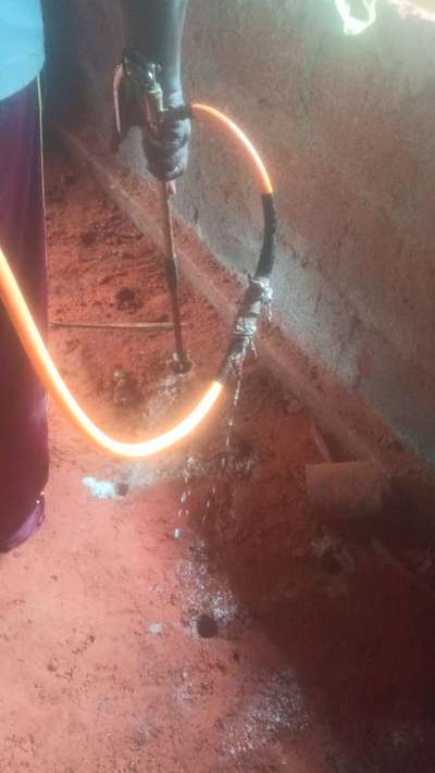 #pestcontrol  #termitetreatment  #pest control