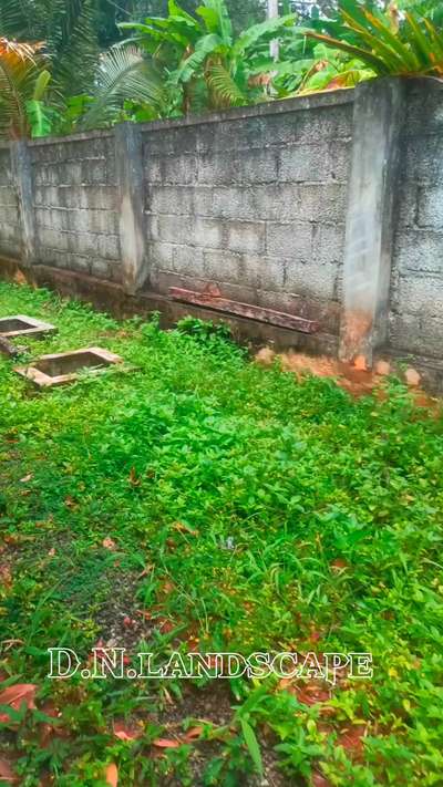 നിങ്ങളുടെ വീടും സ്ഥലവും കാട് പിടിക്കാതെ നോക്കിയാലോ? വളരെ ചിലവ് കുറഞ്ഞ രീതിയിൽ നിങ്ങൾക്ക് ഇൻസ്റ്റാൾ ചെയ്യാൻ പറ്റിയ ഒന്നാണ് weed mat. 100 GSM ഷീറ്റ് ആയത് കൊണ്ട് 5 വർഷം വരെ ലാസ്റ്റ് ചെയ്യും. ഷീറ്റിൽ വീഴുന്ന വെള്ളം മണ്ണിൽ പിടിക്കും. കൂടുതൽ വിവരങ്ങൾ അറിയാൻ ഞങ്ങളെ ബന്ധപെടുക #weedcontrol #weedmat #weedremover