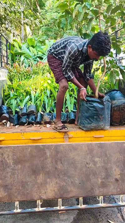 ജയം എന്ന് പറയുന്നത് എപ്പോഴും 1ആം സ്ഥാനത്തു വരുന്നത് അല്ല! നിങ്ങളുടെ കഴിവിന്റെ പരിധിയിൽ എത്ര നന്നായി ശ്രമിച്ചു എന്നാണ്!! Keep trying... Success is sure because we must be made transformative " #LandscapeIdeas #LandscapeGarden #LandscapeDesign  #landing #gardendesign #gardenstone #IndoorPlants #Architect #architecturedesigns #Architectural&Interior #Architectural&nterior #architecturedesigners #KeralaStyleHouse #keralastyle #keralahomeplans  #Malappuram #Kozhikode