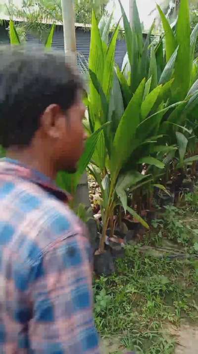 #foxtail  #plants #LandscapeGarden #LandscapeIdeas