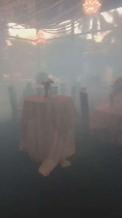 #party holl fog 🌫️ services