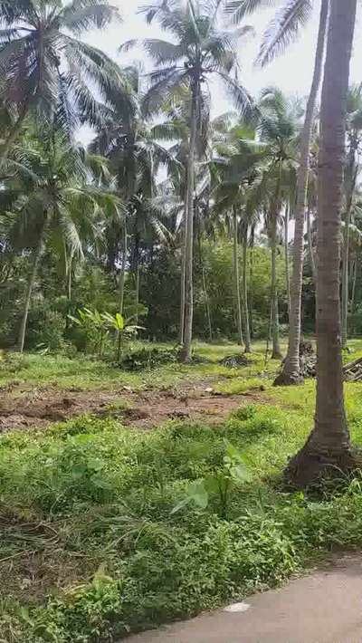 BP angadi #budgethouse   #Bpangadi  #tirur
 #site clearing