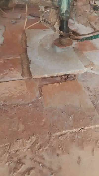 dholpur beige honed green shade