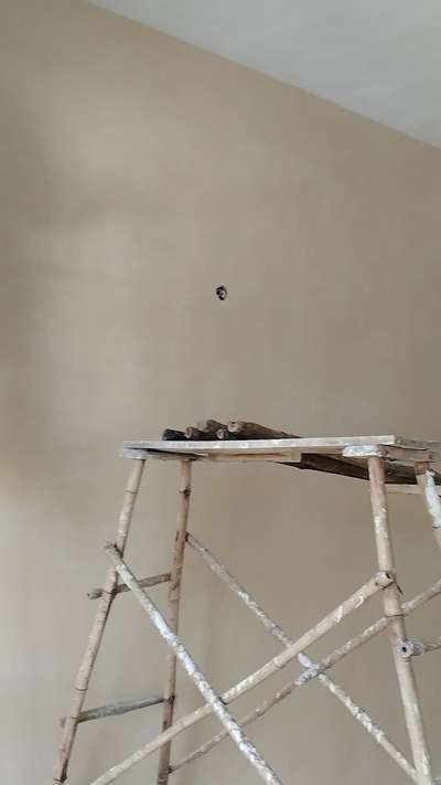 lime wash Marvel pest