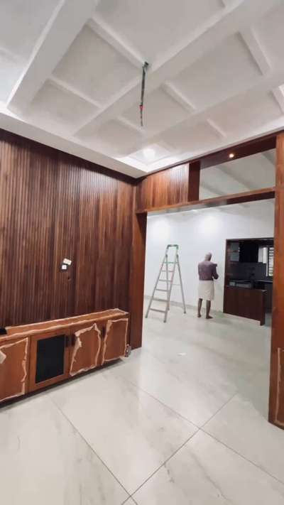 Tv stand with partition wall