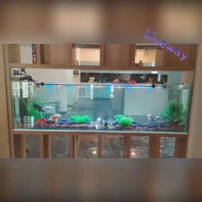 #blueway_aquaworld #aquarium #fishtank #mavelikara