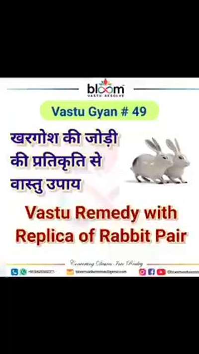 Your queries and comments are always welcome.
For more Vastu please follow @bloomvasturesolve
on YouTube, Instagram & Facebook
.
.
For personal consultation, feel free to contact certified MahaVastu Expert through
M - 9826592271
Or
bloomvasturesolve@gmail.com

#vastu 
#mahavastu #mahavastuexpert
#bloomvasturesolve
#vastuforhome
#vastuformoney
#vastureels
#ese_zone
#rabit
#vasturemedies