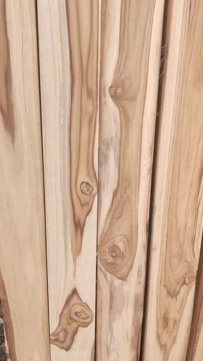 Semi plantation teakwood. Any size can available in teakwood.

Know more 👉 7065161065 Vipin Thakur
#shribhikshutimbers #buildings #builder #architect #buildings #cutesizeinteakwood #interiordesigner #doormanufacturer #manufacturers #windows #architecture #interiordesigner #viralvideo #viral #carpainter #teakfloor #teakfurniture #timberWood #Woodstock #teakstock #Delhi #delhincr #Indianwood #ivorycoastteak #sudanteak #cpnagpurteak #Noida #moulding #margin #corners #tappers #buildings #cutesizeinteakwood #interiordesigner #doormanufacturer #manufacturers #windows #architecture #interiordesigner #viralvideo #viral #carpainter