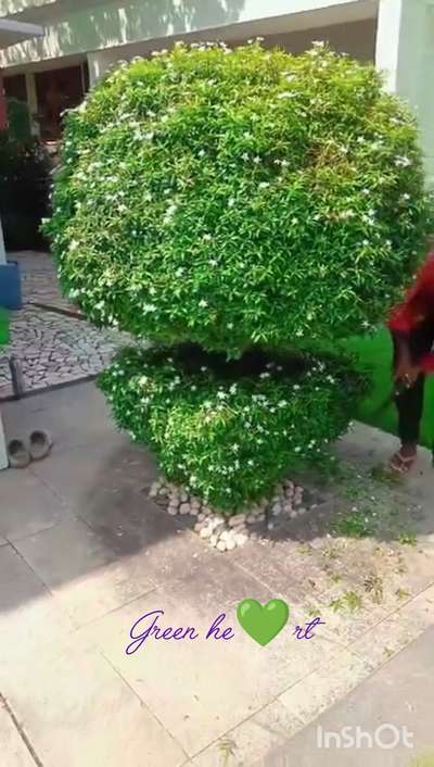 Green Heart💚#Landscaping & stone work#vertical & vegitable garden# fruits garden#monthly garden mainanence# deforesation(കാട് വെട്ട് )interior &exterior gardening