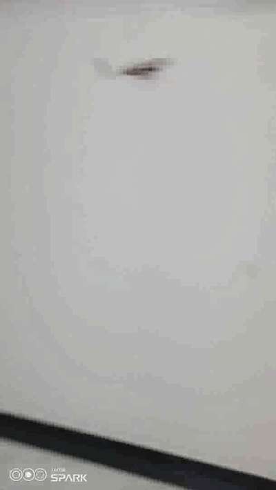 waal paint, door windo polish