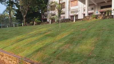 land scaping work if any one need contact 8606763206   @ pathanamthitta kollam kottayam allapuzha