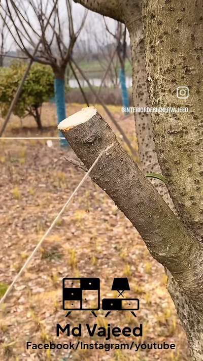 #carpenter    #powertools # tools