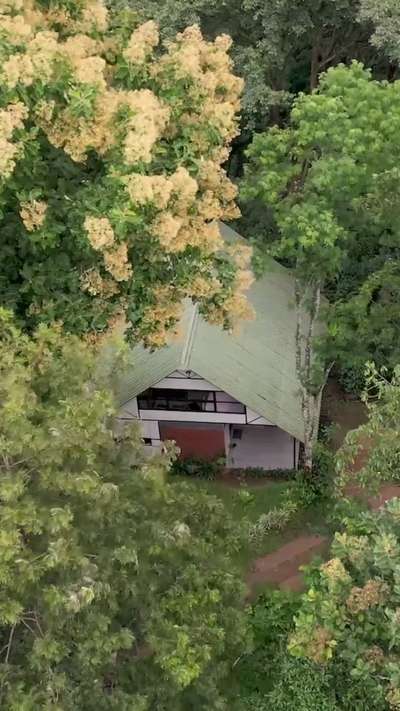 ഏലക്കാട്ടിനുള്ളിൽ ഒരു കൊച്ചു സ്വർഗം | Elakadu Vasathi - A Forest House in Idukki

Area: 1200 sqft
Location: Nedummkandam, Idukki (Kerala)

Designed by Architect James Joseph
@jameskavalackal
9446279600

Host: Sannya N

Videography:
- Sarath V Dev
- Shebeer Kottappuram
- Anees Mannarkkad
- Shefeek Mannarkkad

#hometours #koloapp