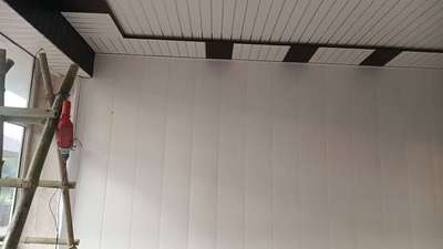 pvc ceiling and wall panel