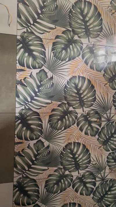 leaf & ivory green compination🍃
#bathroomtiles
#tilesdesign
#sanitaryware
#walltiles
#floortiles
#epoxygrout


#bathroomdesign
#bathroominterior
#bathroominspiration
#modernbathroom
#luxurybathroom
#bathroomdecor
#bathroomideas
#bathroomstyle
#bathroomgoals