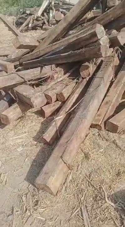 Burma gold teak wood 245 rs square feet