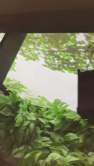 #ceilingidea