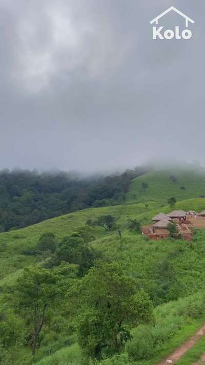 En Ooru | Tribal Heritage Villlage | Wayanad

ഗോത്രസംസ്കൃതി തൊട്ടറിയാൻ ഇനി 'എൻ ഊര്'; പൂക്കോട് മലയിലെ പൈതൃകം ഗ്രാമം
Location: En Ooru Tribal Heritage Villlage, Lakidi Wayanad, Kerala

In Wayanad’s Vythiri, you can explore the nature, tribal lifestyle and architecture, in its true form. 

Voice Over: @ft_nikhilnandakumar

Kolo - India’s Largest Home Construction Community 🏠

#fyp #reelitfeelit #koloapp #veedu #homedecor #enteveedu #homedesign #keralahomedesignz #nattiloruveedu #instagood #interiordesign #interior #interiordesigner #homedecoration #homedesign #home #homedesignideas #keralahomes #homedecor #homes #homestyling #traditional #kerala #homesweethome #architecturedesign #architecture #keralaarchitecture #architecture #modernarchitecture