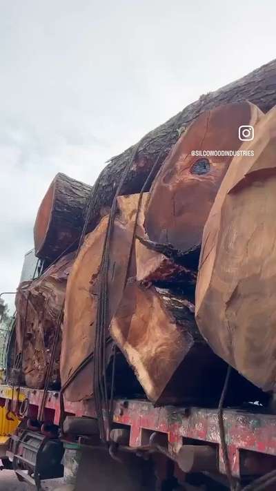 B#WoodenKitchen  #WoodenFlooring  #CivilEngineer  #furniture   #furniturework  #timberandplywood  #woodface  #Woodendoor  #woodenfinish  #woodworking  #woodworks #AltarDesign  #everyone