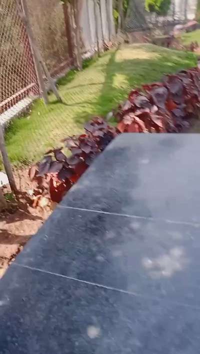 gainsh ki kating kiya ja raha h