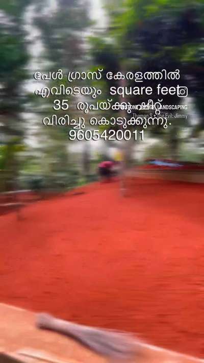 #pearlgrass  #BangaloreStone g #PearlGrass