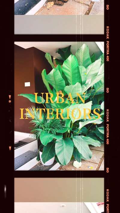 At the final stage of our work #interiordesign  
.
Urban Interiors
.
.
#kottayam #ernakulam #pathanamthitta #alappuzha #home #work #InteriorDesign #HomeDecor #InteriorInspiration #InteriorStyling #HomeDesign #InteriorGoals #InteriorAndHome #ModernInterior #InteriorDecor #HomeStyle #InteriorTrends #LuxuryInteriors# #MinimalistDesign #EclecticDecor #VintageDecor #HomeInspiration #CozyHome #InteriorDesignIdeas #InteriorDesignLovers #InteriorDesignCommunity #InteriorDetails #DesignInspiration #DreamHome #HomeDecorInspiration #DecorLovers #InteriorArchitecture #InteriorDecorating #HomeStyling #HomeMakeover #LivingRoomDecor #BedroomDecor