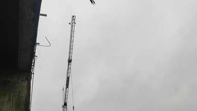 crane  # short video #