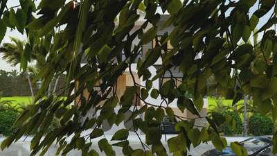 #new elevation video #