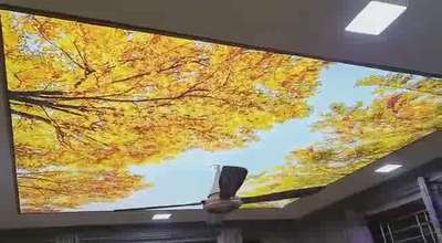 #3DCeiling
