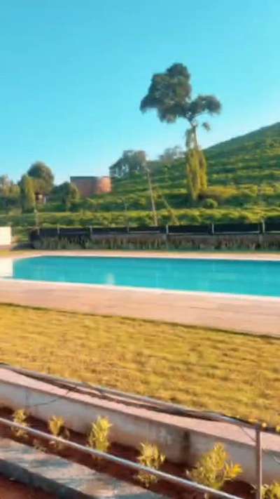 Project completed by Crystal Pool Solutions