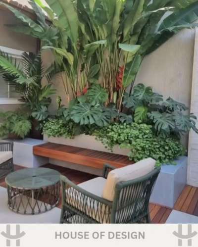LANDSCAPE DESIGN(plant name)
False bird of paradise
Monstera deliciosa
Areca Palm
Boston fern
Chinese Money Plant