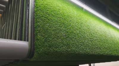 Artificial Grass at wholesale Price.. 
for price please contact -9770262205
All interior and exterior products are available
#artificialgrassindia #artificialgrass #Architectural&Interior