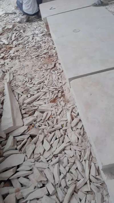 Ram mandir ceiling #