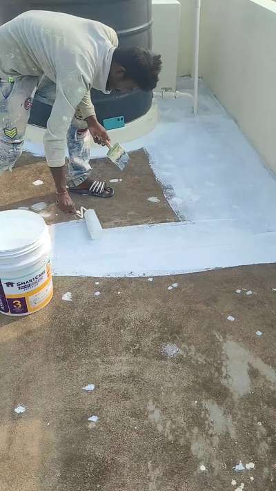 Teri chhat ka paint damp proof