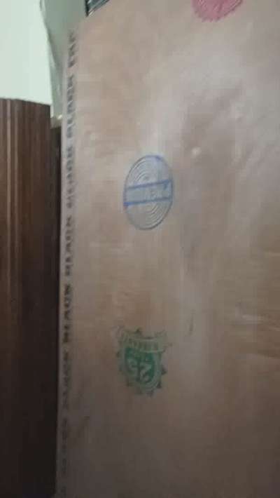 plywood flush door available here