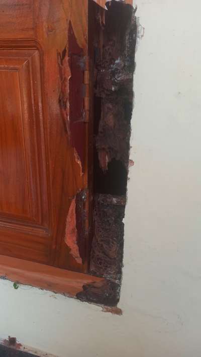 #pest control  #termite control  #Anti termite treatment