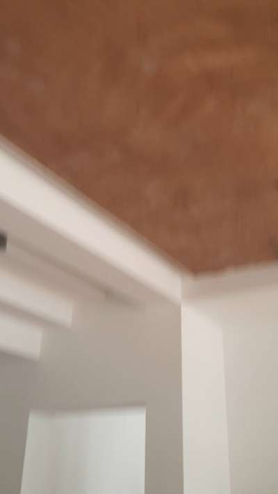 Kitchen cabinet work & false ceiling work