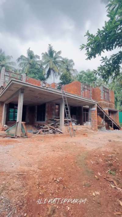 Ali Kuttippuram 
 #exterior_  #magno
