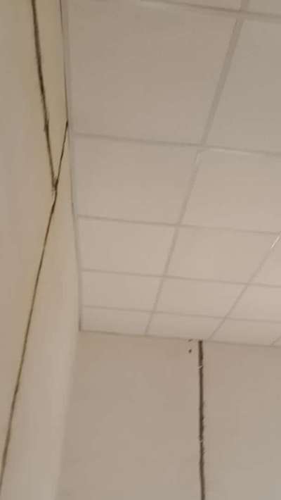 t girit ceiling And
gypsum ceiling
70 sq/ft 
contact number 6350328910