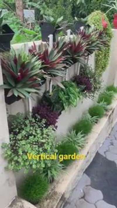 vartical garden product with fitting ke sath deal karte hai  #BalconyGarden  #VerticalGarden