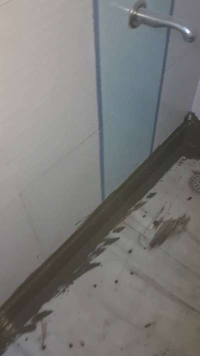 #Waterproofing #BathroomTIles #Seepage #seelan